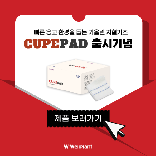 큐어패드 출시기념